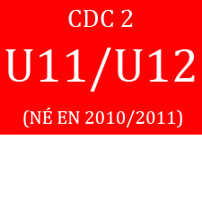 CDC2 Prog U1112