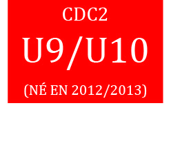 CDC2 Prog U910