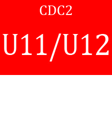 CDC2 Prog U1112