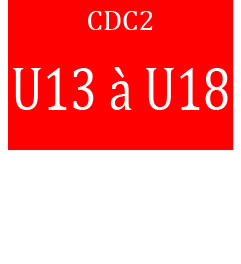 CDC2 Prog U1317