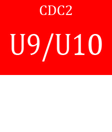 CDC2 Prog U910